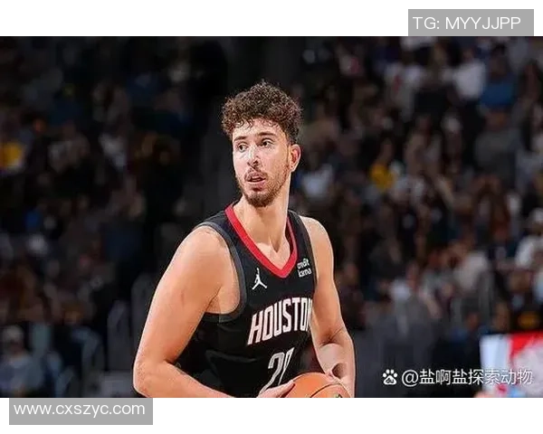 2017年11月19日火箭队与灰熊队激战回顾精彩瞬间与赛后分析 2017年11月19日火箭队与灰熊队激战回顾精彩瞬间与赛后分析