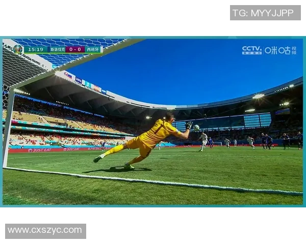 巴西男篮对决加拿大队精彩赛事回顾与分析