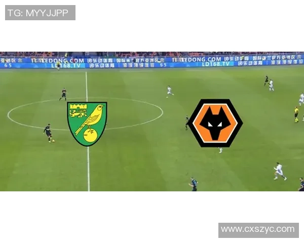 狼队与诺维奇对决分析及比赛前瞻展望 狼队与诺维奇对决分析及比赛前瞻展望