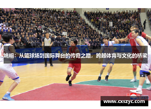 姚明：从篮球场到国际舞台的传奇之路，跨越体育与文化的桥梁