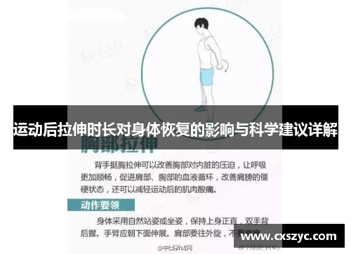 运动后拉伸时长对身体恢复的影响与科学建议详解