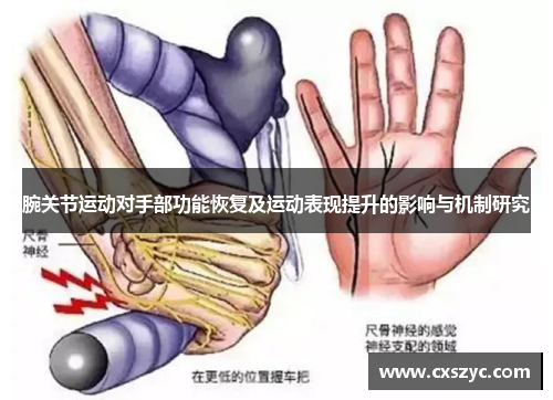 腕关节运动对手部功能恢复及运动表现提升的影响与机制研究