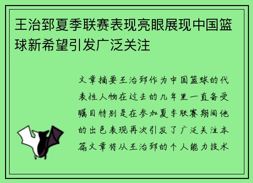 王治郅夏季联赛表现亮眼展现中国篮球新希望引发广泛关注